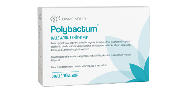 Polybactum hüvelykúp, 3 db