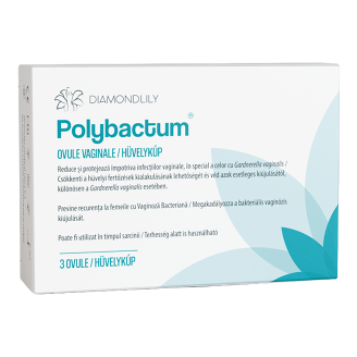 Polybactum hüvelykúp, 3 db